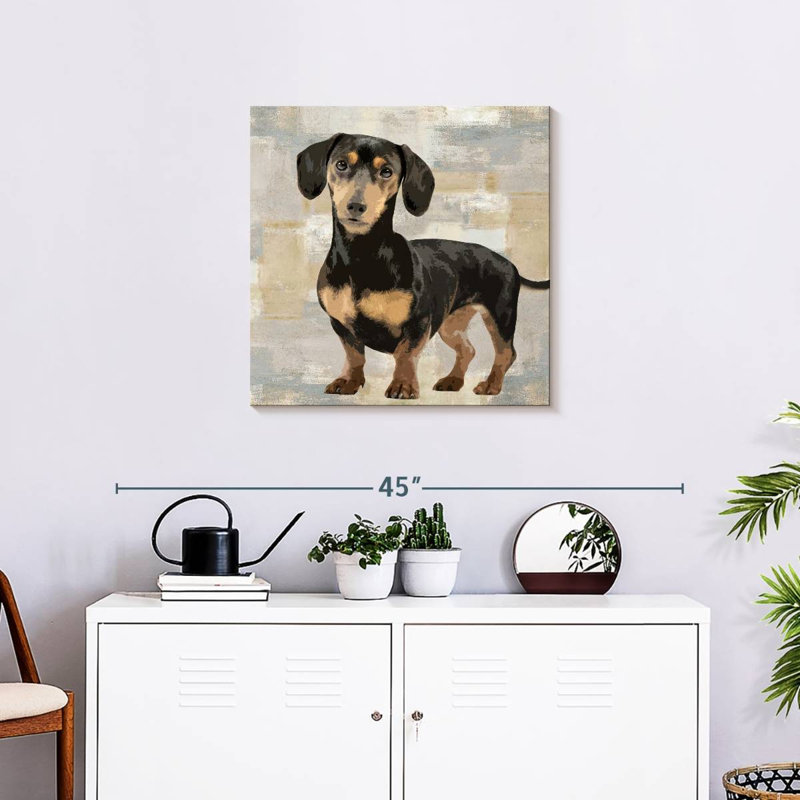 Portrait de teckel Brampt, H 24 po x l 24 po