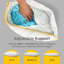 Morandi Support Pillow