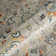 Genevrier Traditional Floral Durable Performance Indoor/Outdoor Area Rug