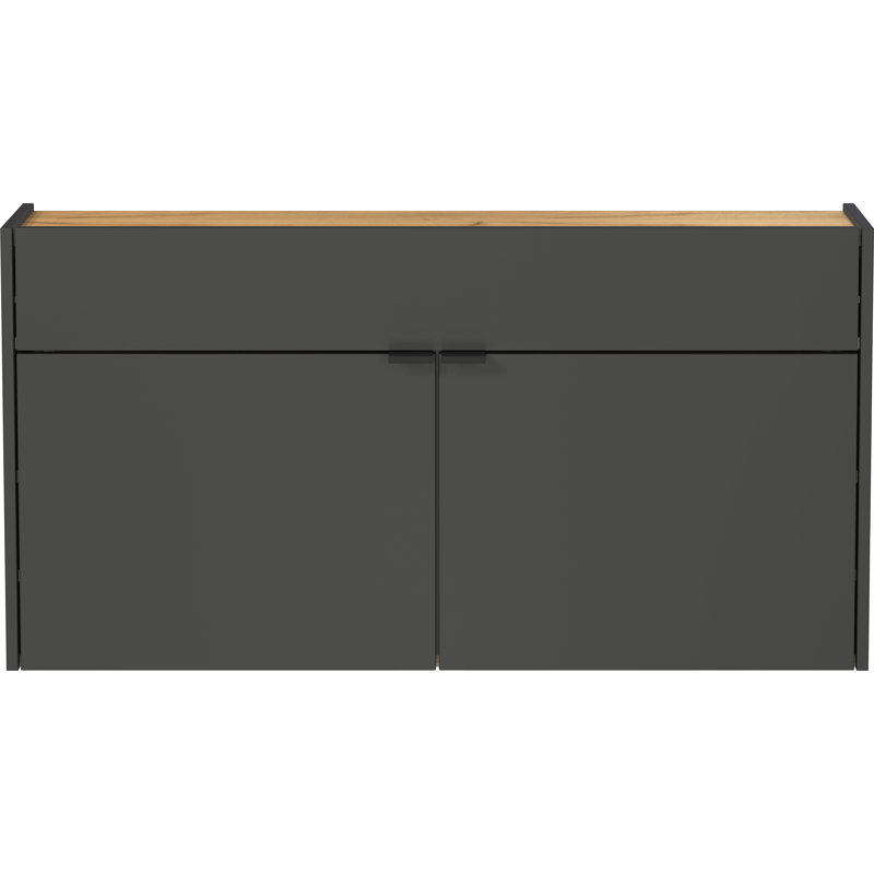 Nyack 12 Pair Shoe Storage Cabinet, Graphite