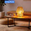 Lampe de table champignon à pile avec minuterie, veilleuse décorative sans fil pour l'intérieur et l'extérieur, éclairage d'ambiance portable pour la décoration intérieure