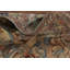 Tapis traditionnel 5 x 8
