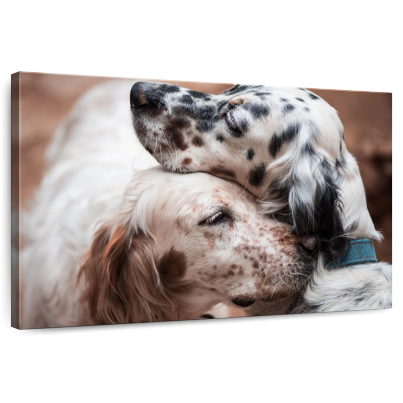 Cuddling English Setters, 34" H x 51" W