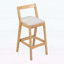 Chaises d'appoint d'intérieur, ensemble de 2-423066229