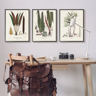 Études botaniques rétro, impression sur bois, 3 pièces