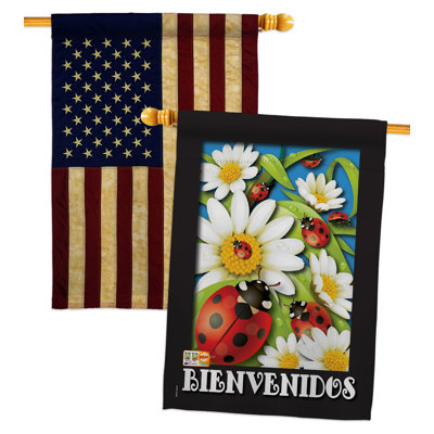 Drapeaux 40 x 28 pi