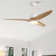 Nicola 56'' 3 - Blade LED Propeller Ceiling Fan with Remote Control and Light Kit Included