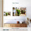 Lilie, vieille ville d'Obidos-107867751