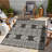 Lenke Indoor / Outdoor Rug