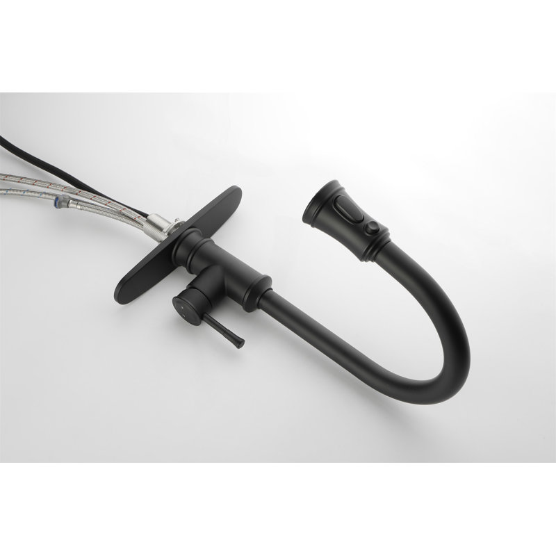 Kitchen Faucet With Pull Out Spraye