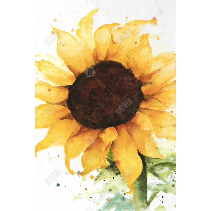 Sunflower Bath Mat with Non-Slip Backing - Quick Dry Memory Foam Bathroom Rug - Absorbent - Modern Plush Spa-Style - Machine Washable