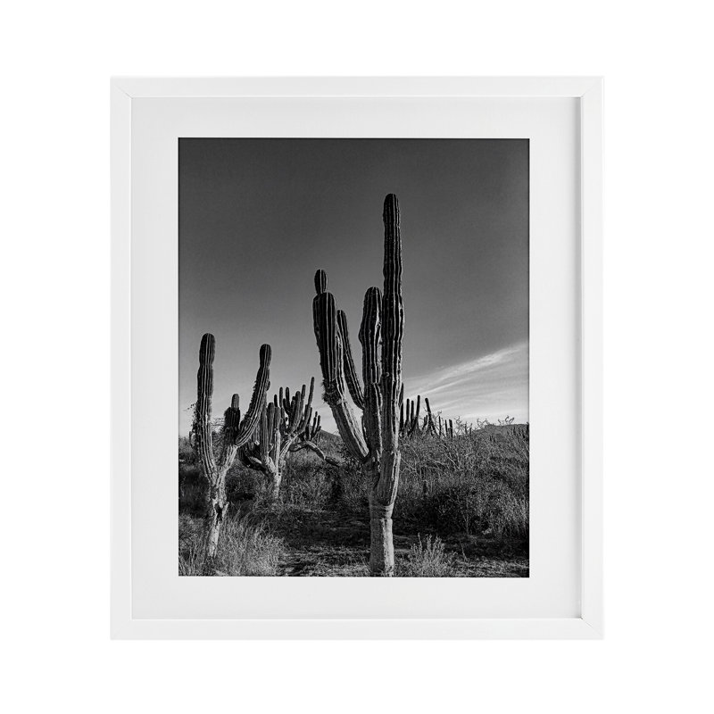 Cactus Field & Vast Sky, reproduction encadrée sous verre, design par Norm Stelfox, H 21 po x l 17 po, Cadre blanc côtier