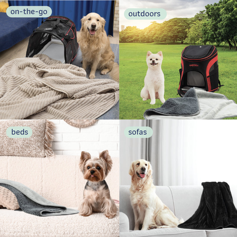 Coussins Katziela, Brun clair, 60 po x 50 po