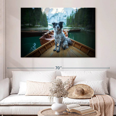 Border collie sur bateau