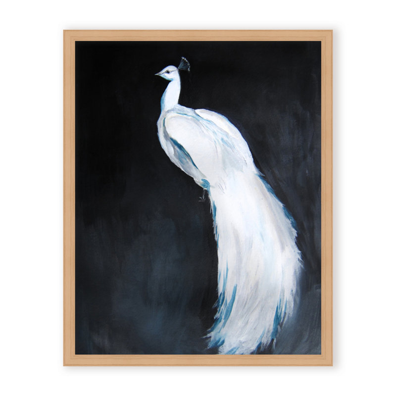 Nature Inspired Alabaster Majesty: White Peacock Against The Night, Framed Matted Print, 30" H x 24" W x 1.125" D, Black