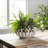 Ceramic Planter Lattice Design Fauna-Inspired Home And Garden Decor - 7" White