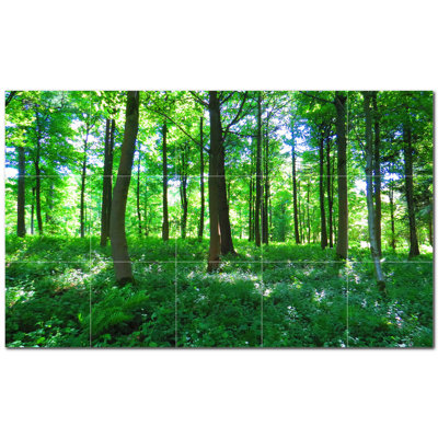 Photo murale décorative Arbres