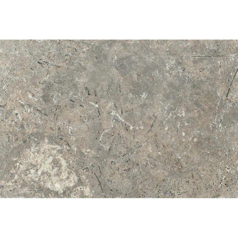 Travertine 16" x 24" Field Tile in Ancient Tumbled Silver
