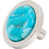 Mohave Turquoise selected