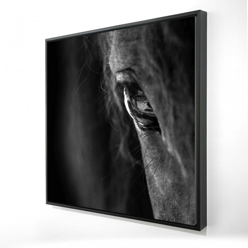 Cheval noir imprimé sur toile