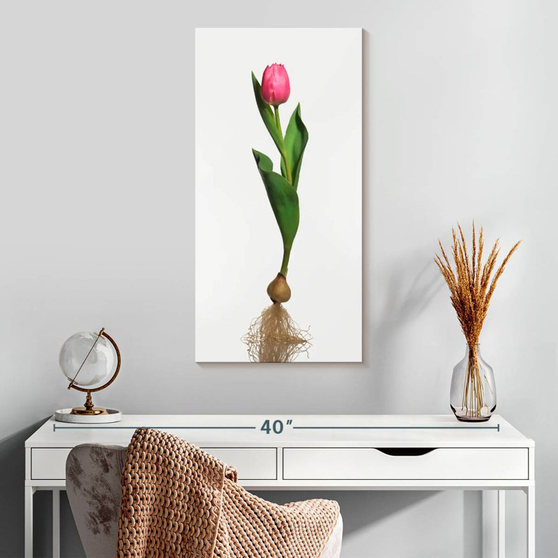 Ampoule de jardin tulipe, H 30 po x l 15 po