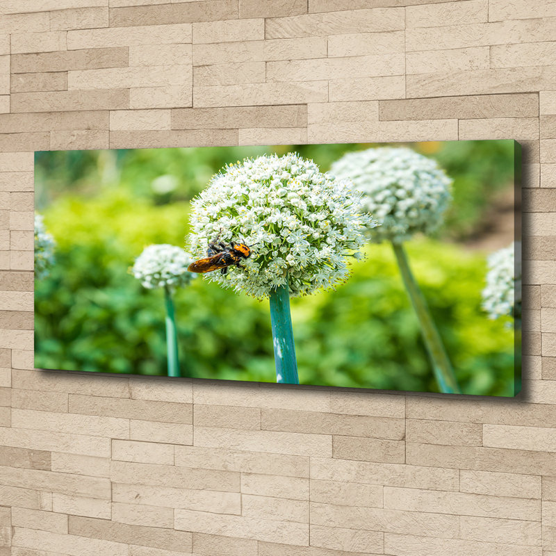 Blooming Garlic - Wrapped Canvas Print