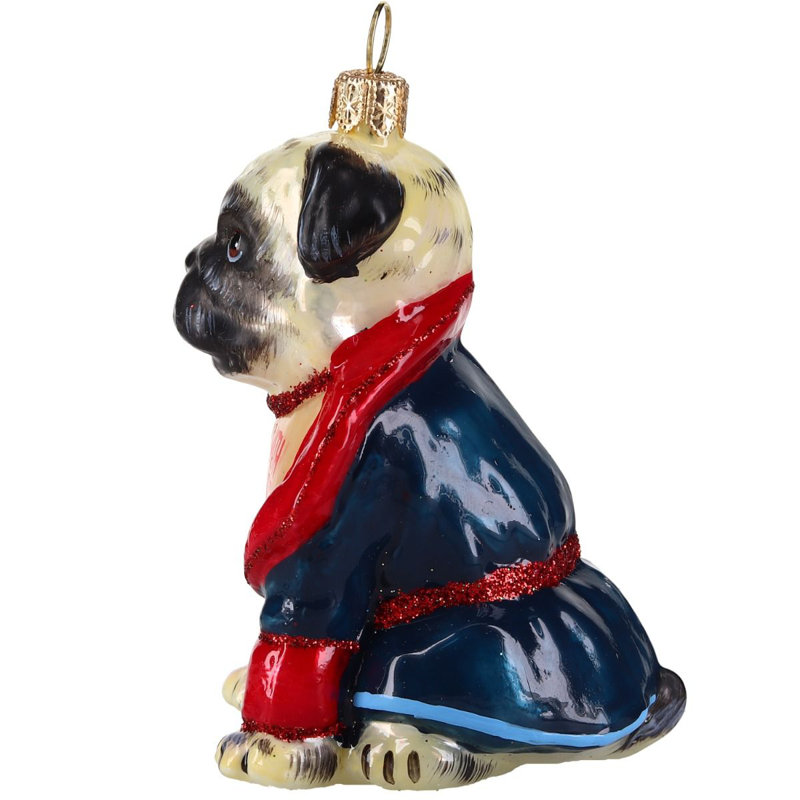 Pug Fawn in Bath Robe "Still Live with Parents"