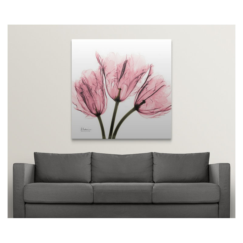 'Tulips Laugh II X-Ray by Albert Koetsier Photographic Print, 20" H x 20" W x 1.5" D, Canvas