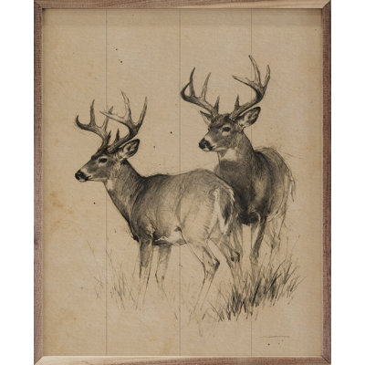 High Country Bucks