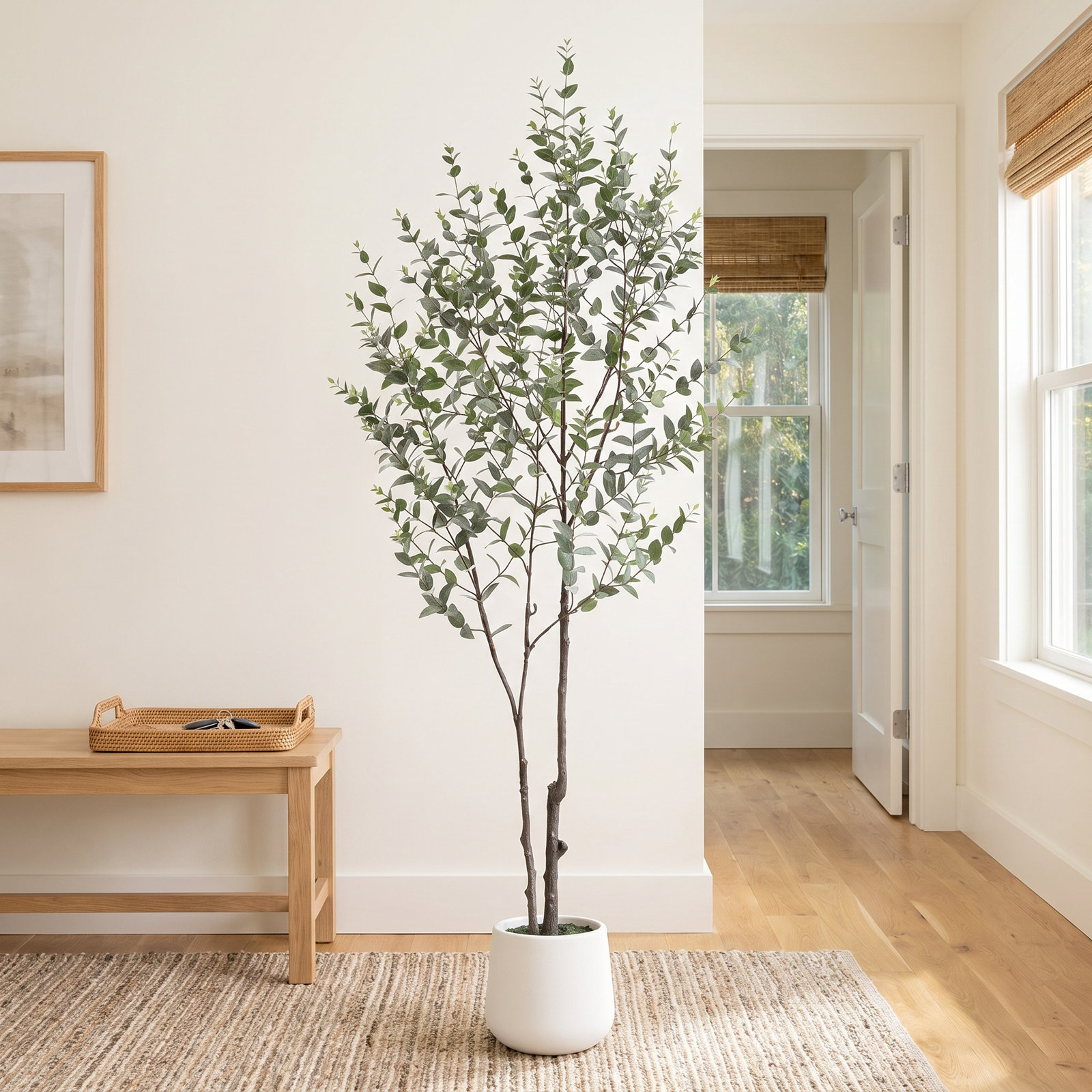 Aldina 72" Eucalyptus Tree in Pot