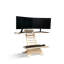 Partone Adjustable Curved Standing Desk