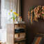 Tige de jonquille-653070622