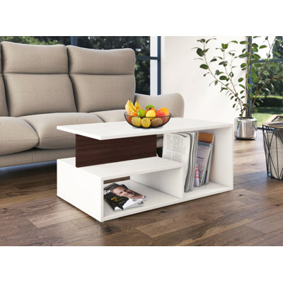 Emmelynn Coffee Table with Storage