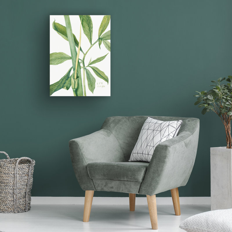 Art sur toile «Bachelor Mary Vaux Walcott Greendragon», H 47 po x l 35 po
