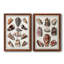 Toile encadrée avec coquillages collectés - prêt à accrocher-533046675-533046681-533082426