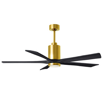 Patricia 60'' Ceiling Fan with LED Lights