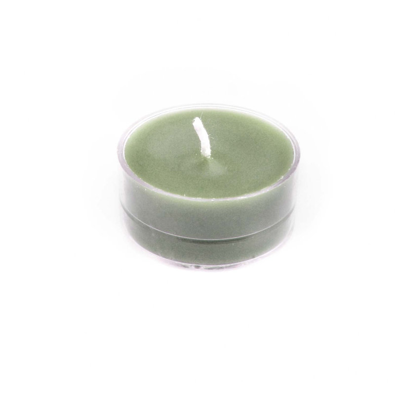 Bougie photophore sans parfum, Sauge vert, Ensemble de 50