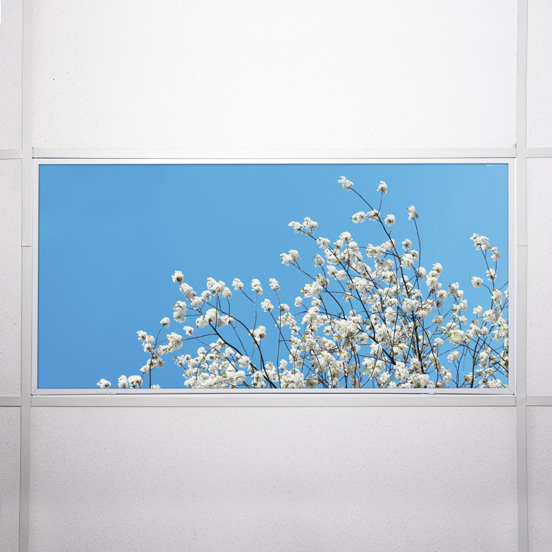 Octo Lights - Fluorescent Light Covers - Flexible Decorative Light Diffuser Panels - Tree - For Classrooms And Offices - Tree 002