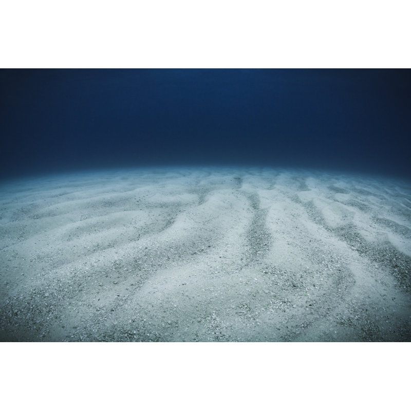 Ocean Floor - Wrapped Canvas Print, 51cm H x 76cm W x 3.8cm D
