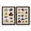 Vintage Hats II - 2 pièces-995371650-995371652