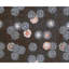 Hand Knotted Area Rug in Black