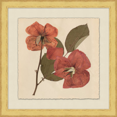 Pressed Flowers " Pressed Flowers 6 " Watercolor Print