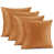 Rust Orange Brown