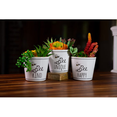 BEE BUZZ PLANTERS 5", 3 ASST