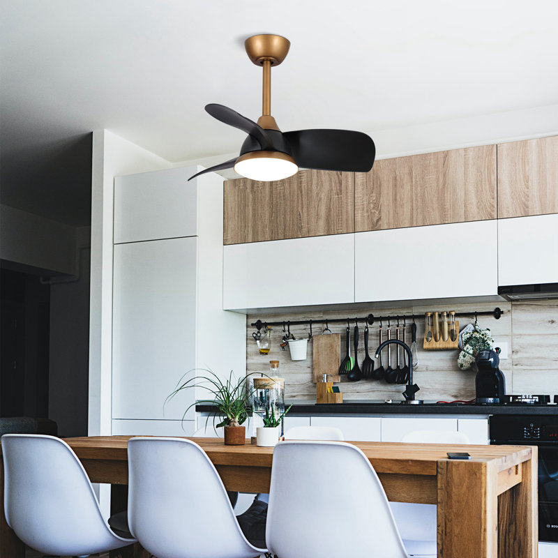 Haywa 28'' Ceiling Fan with LED Lights, Black