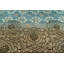 Tapis intérieur / extérieur rectangulaire en laine de conception unique 3 pi 10 po x 5 pi 11 po Hatsuyo