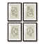 «Soft Shape I», ensemble de 4 reproductions de cadres photo-1393158563-1393158560