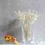 Pivoines Crystal Fruit Bowl