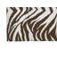 Paillasson Zebra-629547714-629547732