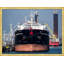 Majestic Cargo Ship Print by Thom Filicia